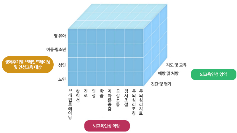 뇌활용 영역