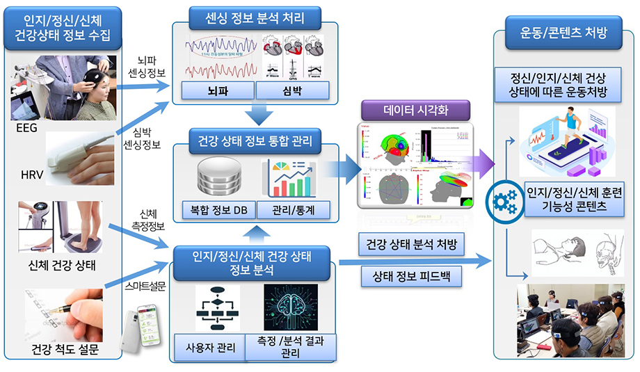 뇌건강전공