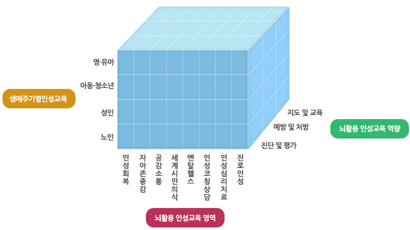 뇌활용 영역