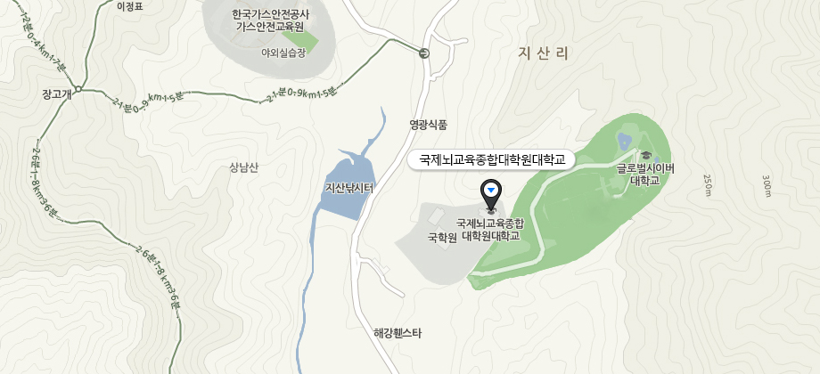 국제뇌교육종합대학원_네이버지도